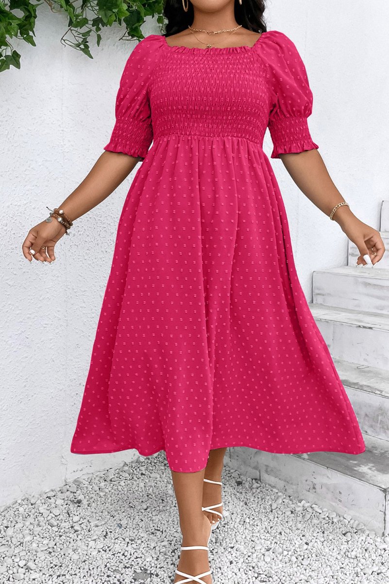 Sachet Pink Swiss Dot Smocked Frilled Neckline Plus Size Dress